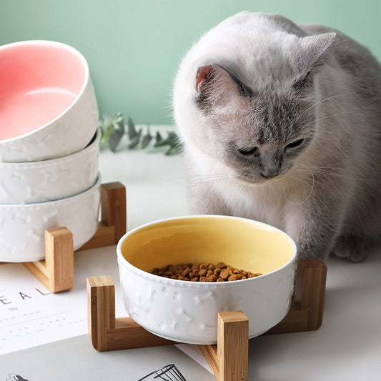 cat bowl dog bowl water bowl ceramic bowl